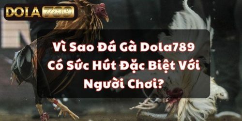 Vì Sao Đá Gà Dola789 Có Sức Hút Đặc Biệt Với Người Chơi?